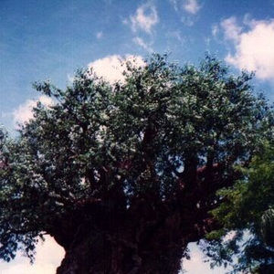 Meet your Posher, Gregory